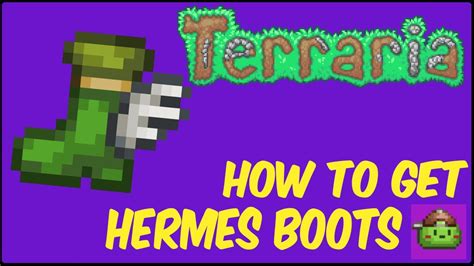 wild hermes boots terraria|Hermes boots Terraria calamity.